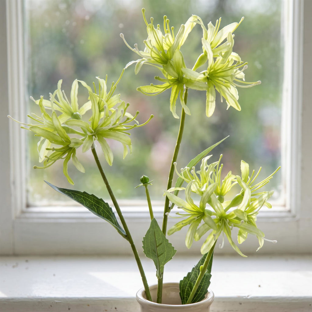 Faux Spider Lily Stems, 72cm with 3 Flower Heads - Set of 6