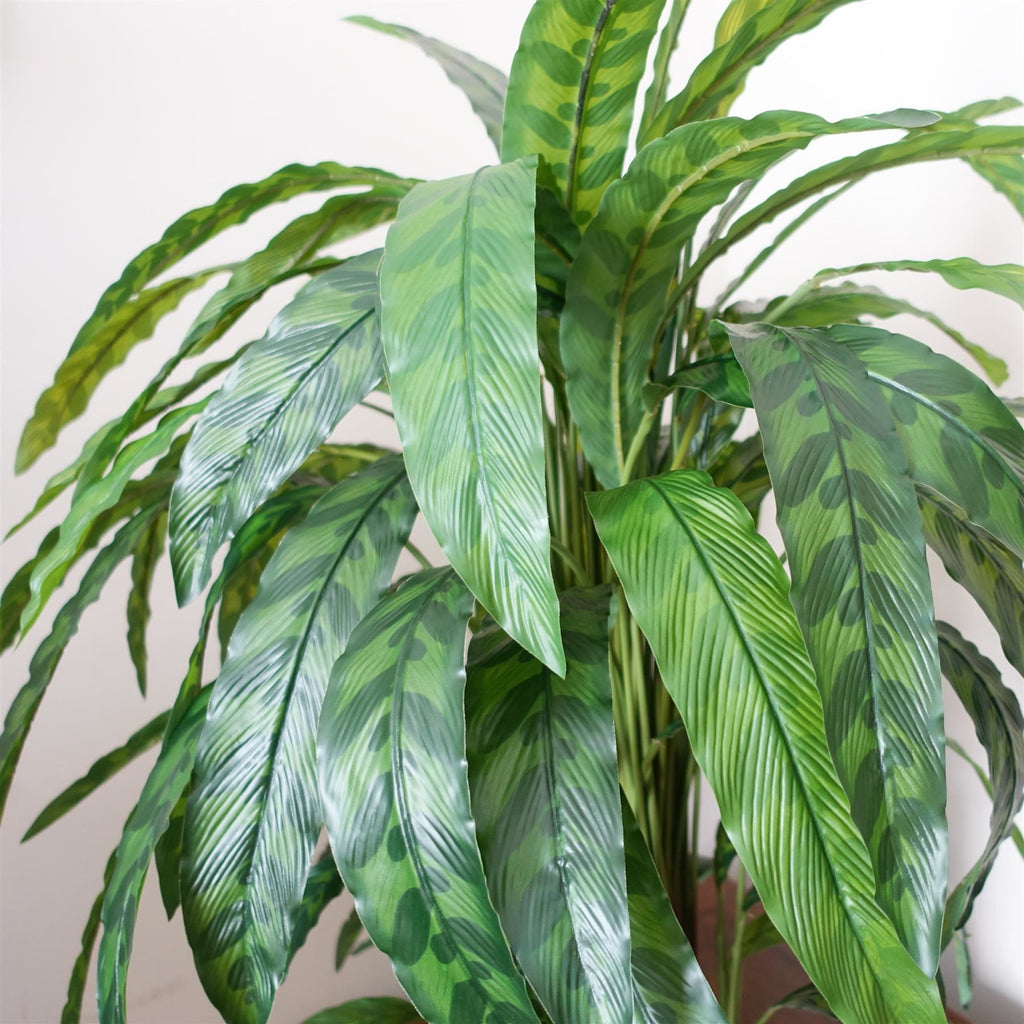 90cm Variegated Artificial Calathea Plant - Premium Quality