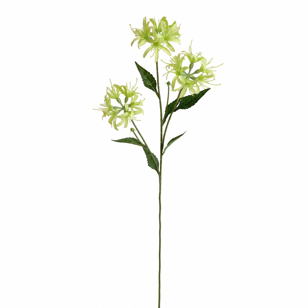 Faux Spider Lily Stems, 72cm with 3 Flower Heads - Set of 6