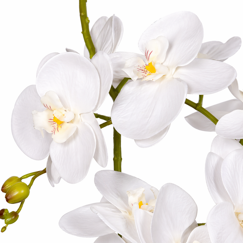 65cm Botanik Realistic Artificial Orchid Flower Display in Pot