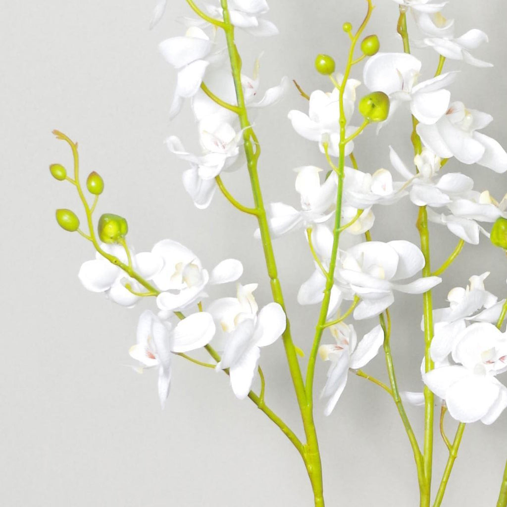 60cm Botanik Realistic Artificial Orchid Flower Display in Pot