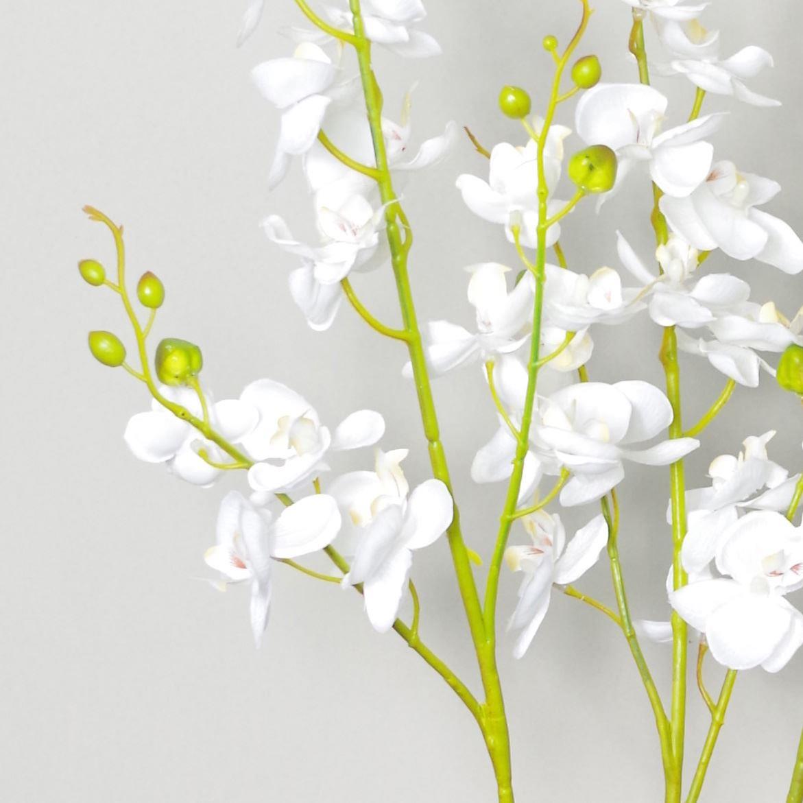 60cm Botanik Realistic Artificial Orchid Flower Display in Pot