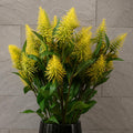 Pack of 6 x 55cm Callistemon Pallidus Yellow Bottle Brush Stem - Premium Quality