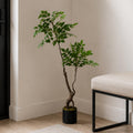 110cm Artificial Toona Sinensis Tree Evergreen - Premium Quality
