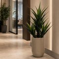 110cm Artificial Agave Tropical Display in Pot Artificial - Premium Quality
