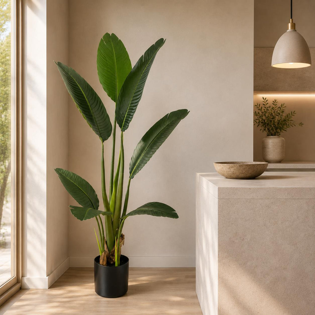 120cm UV Traveller Banana Palm Tree - Premium Quality (image 5 of 5)