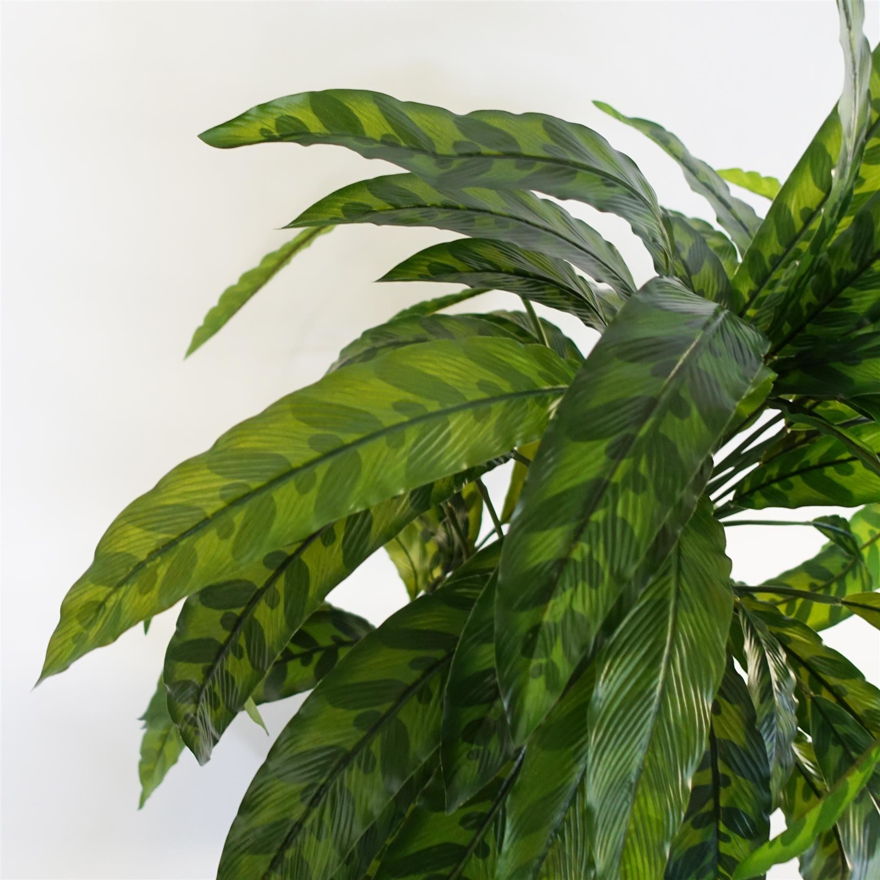 60cm Variegated Artificial Calathea Plant - Premium Quality