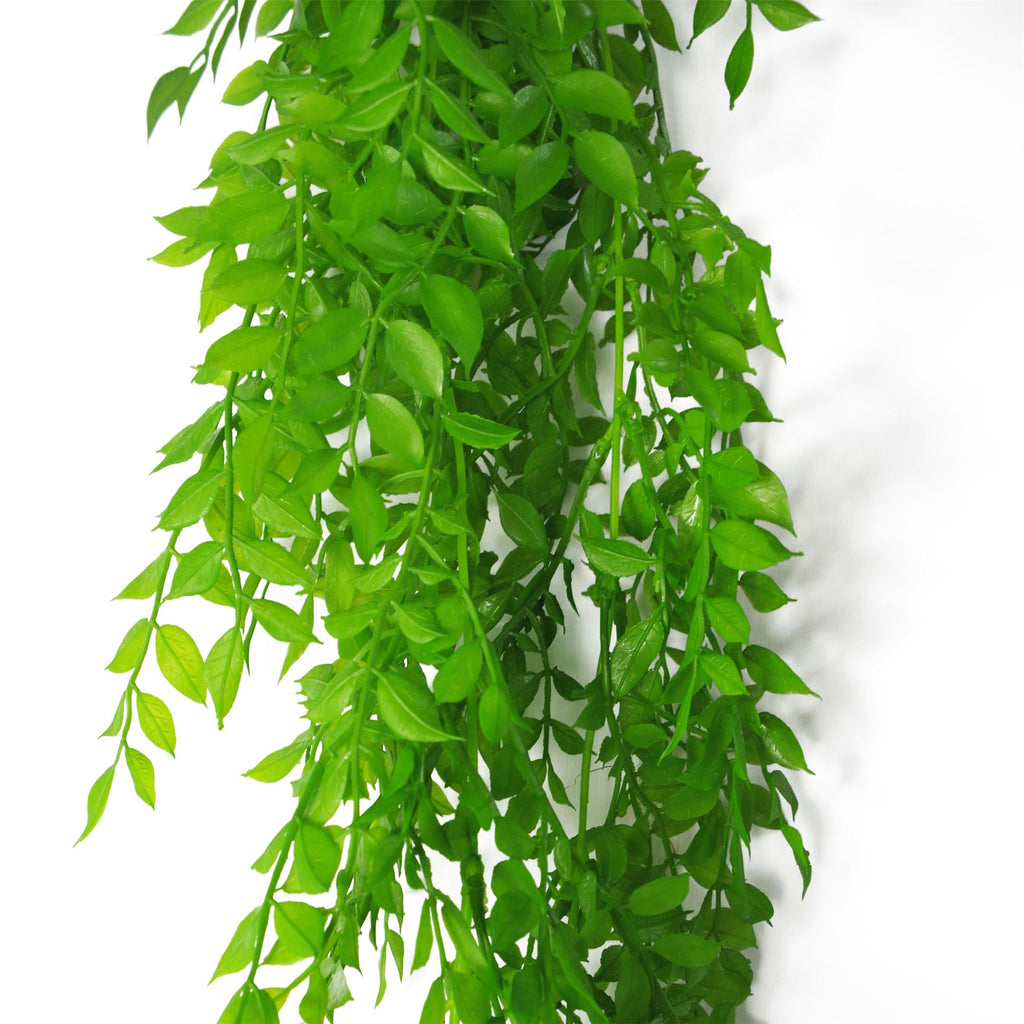 100cm Artificial Hanging String of Pearls Fern Plant