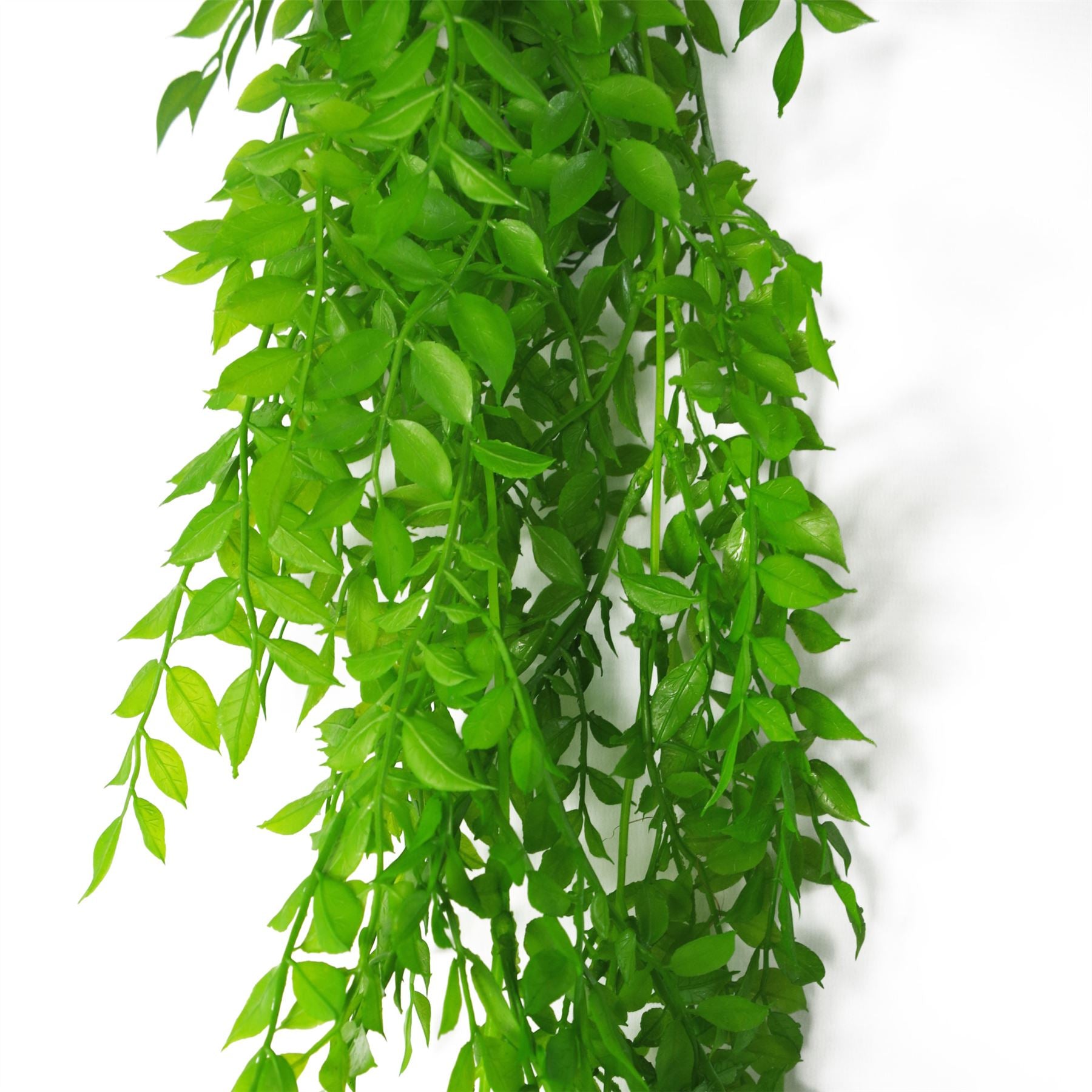 100cm Artificial Hanging String of Pearls Fern Plant
