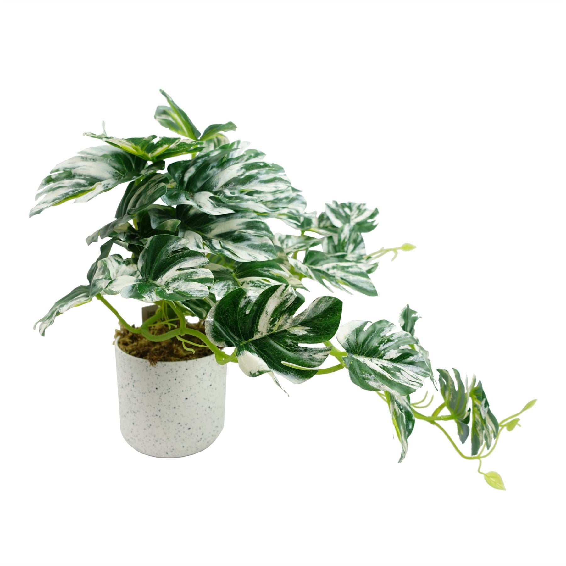 30cm Artificial Variegated Green Potted Monstera Trailing Plant - Premium Quality