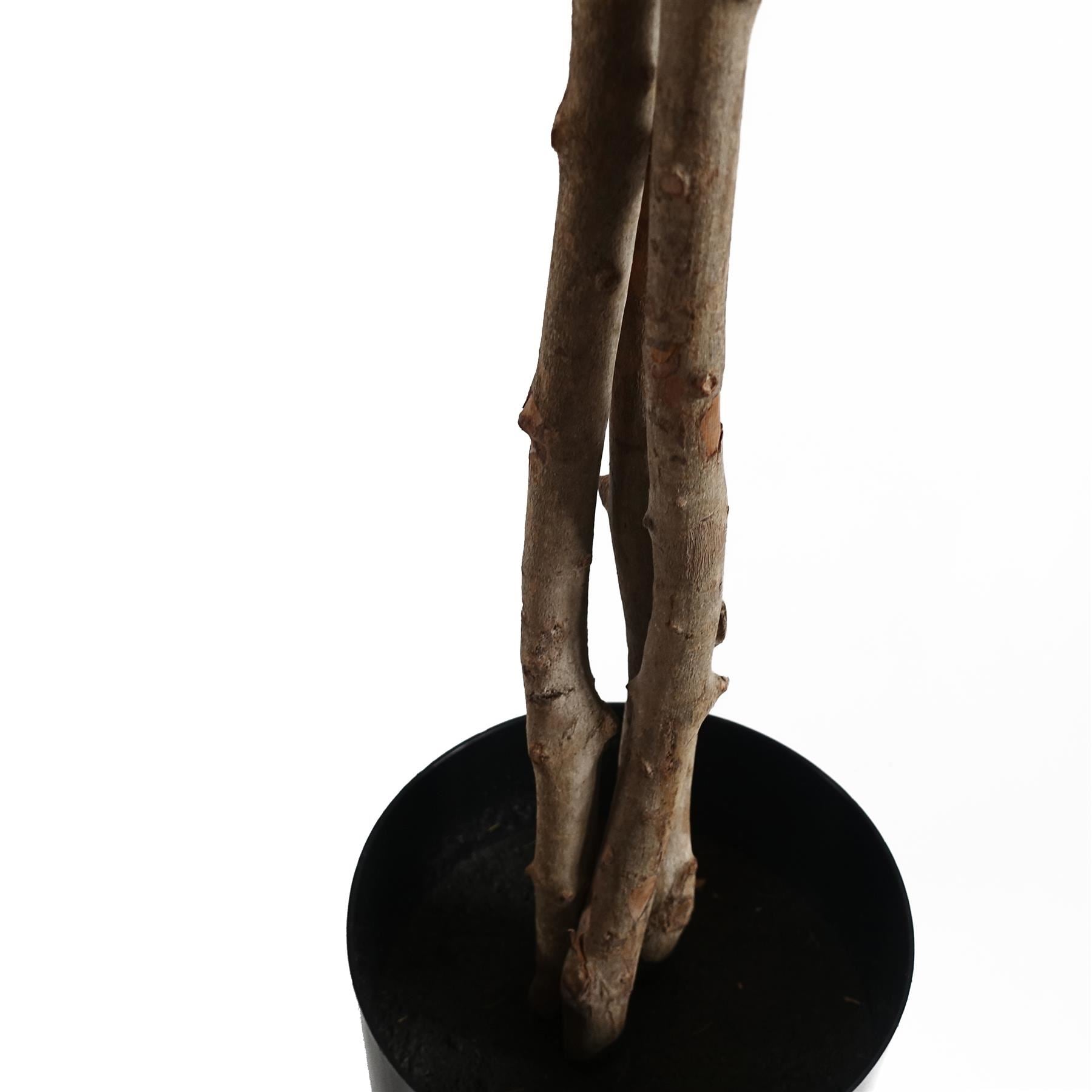 150cm Artificial Forsythia Tree - Premium Quality