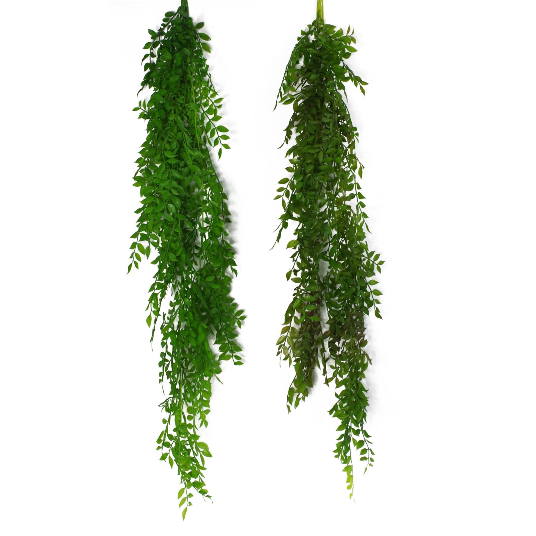 100cm Artificial Hanging String of Pearls Fern Plant