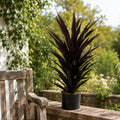 85cm Dark Red Yucca Plant Artificial