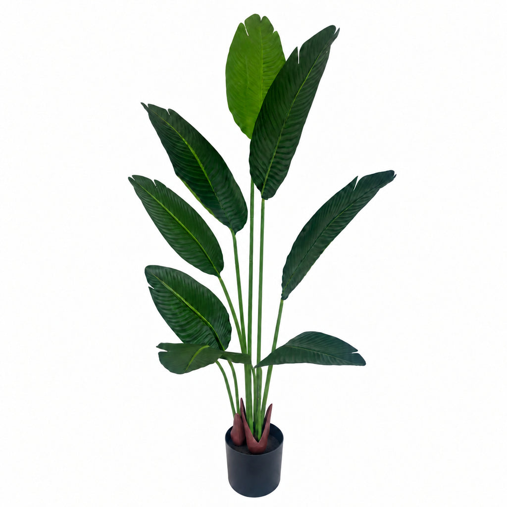 120cm UV Traveller Banana Palm Tree - Premium Quality