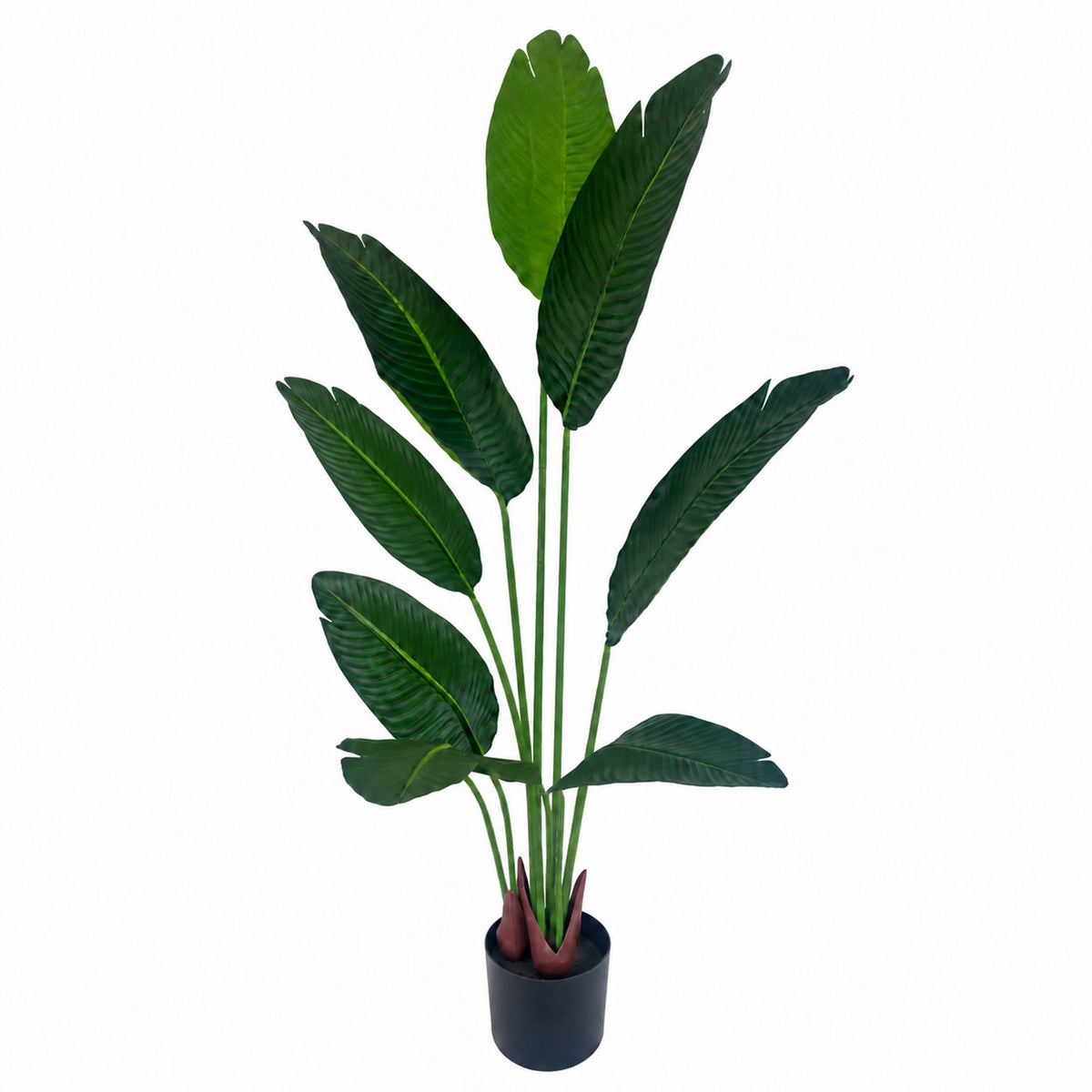 120cm UV Traveller Banana Palm Tree - Premium Quality