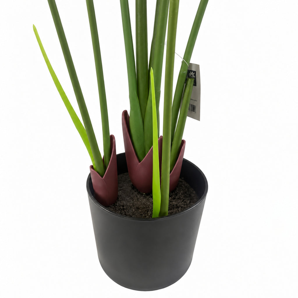 120cm UV Traveller Banana Palm Tree - Premium Quality