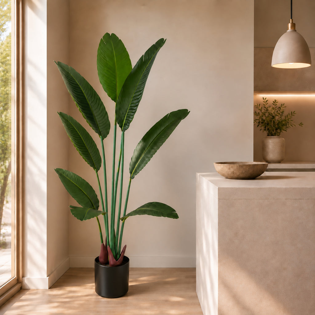 120cm UV Traveller Banana Palm Tree - Premium Quality