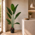 120cm UV Traveller Banana Palm Tree - Premium Quality