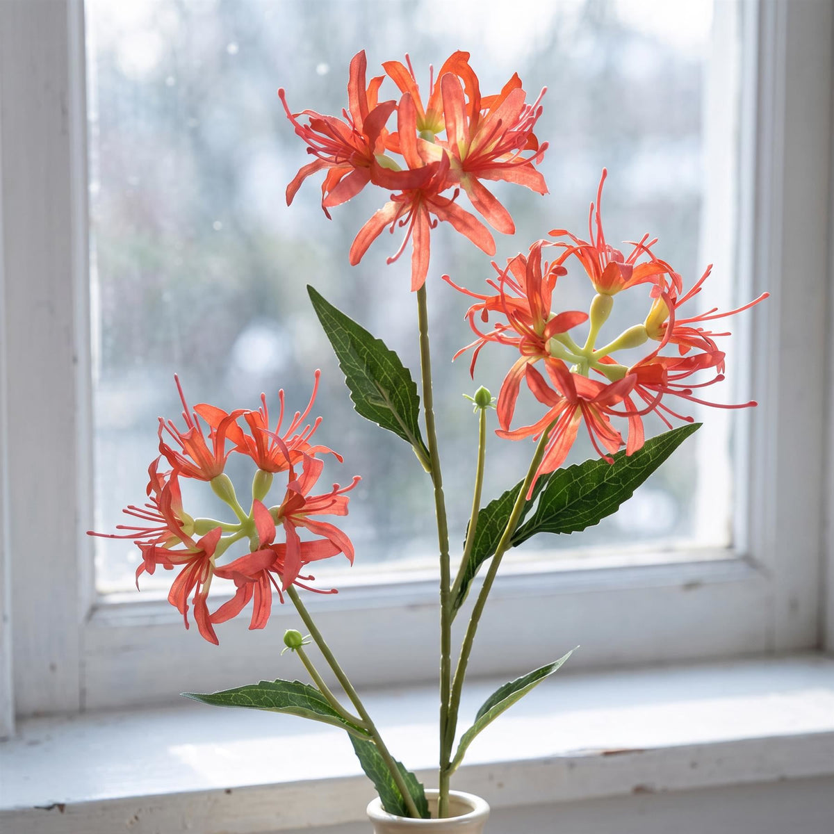 Faux Spider Lily Stems, 72cm with 3 Flower Heads - Set of 6