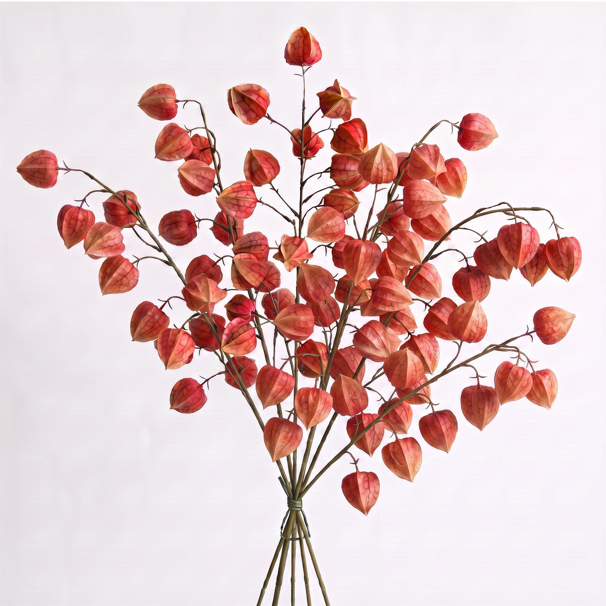 Orange Physalis Faux Chinese Lantern Stems, 100cm - Set of 6 Sprays