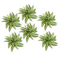 Pack of 6 x 45cm Fire Retardant Artificial Aglaonema Bush - Premium Quality
