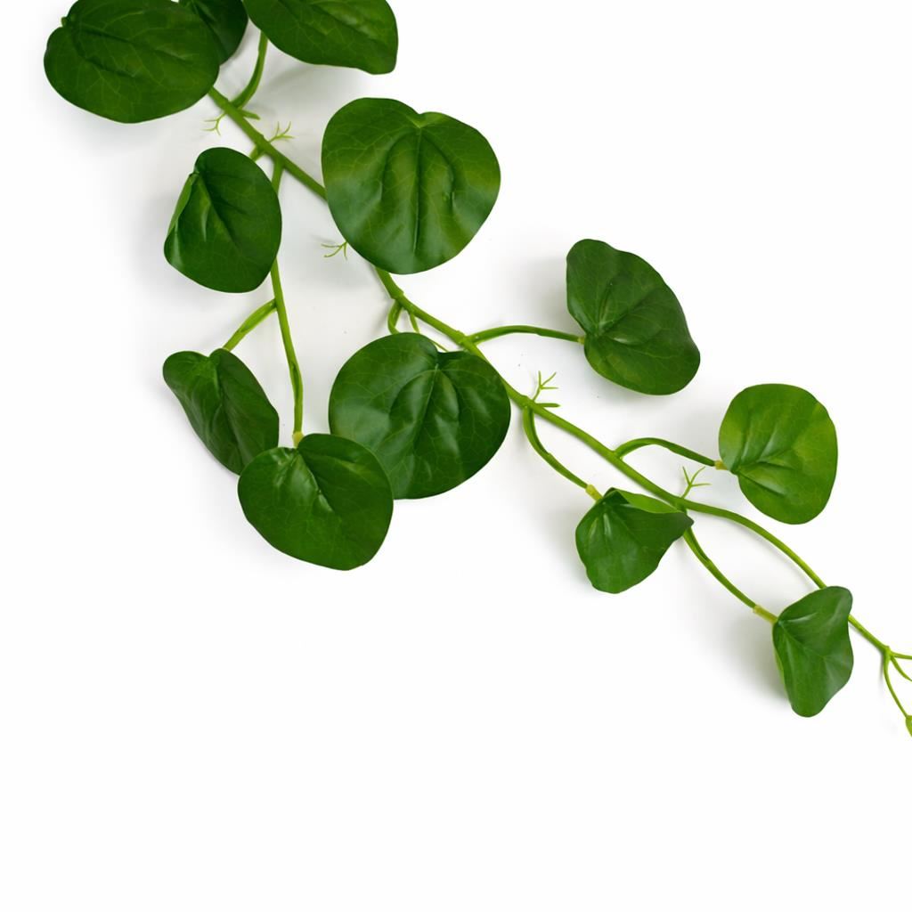 160cm Artificial Round Pilea Botanik Garland Hanging Decoration - Premium Quality