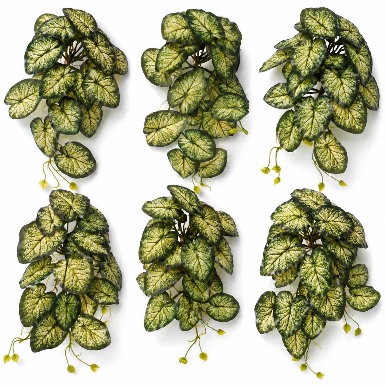 25cm Artificial Trailing Variegated Caladium Vine Plant Dark Green - Premium Quality
