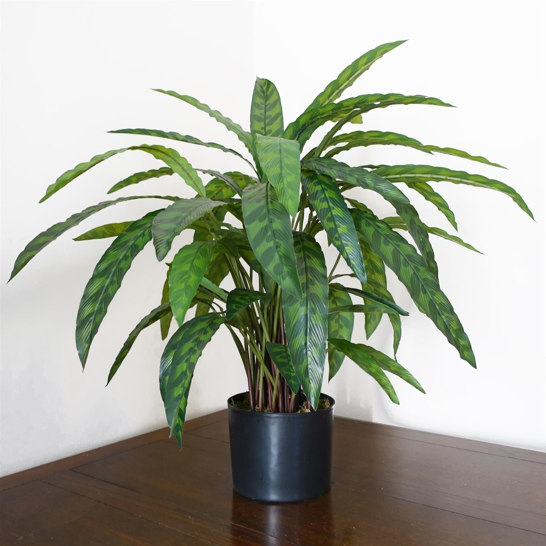 60cm Variegated Artificial Calathea Plant - Premium Quality