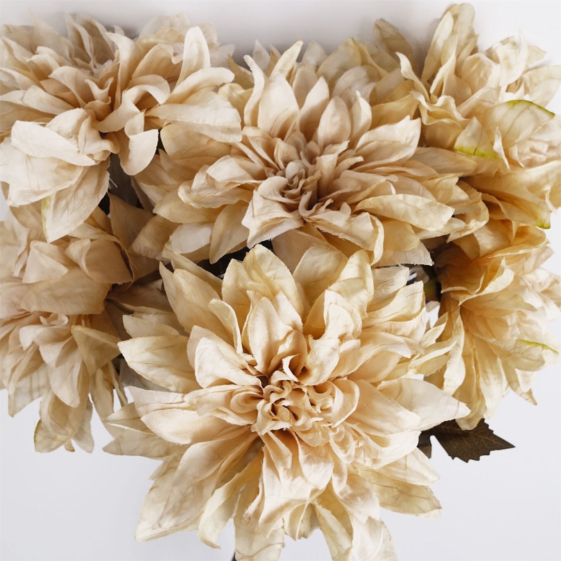 Artificial Pack of 6 x 55cm Dahlia Flower Stem - Dusty Cream - Premium Quality