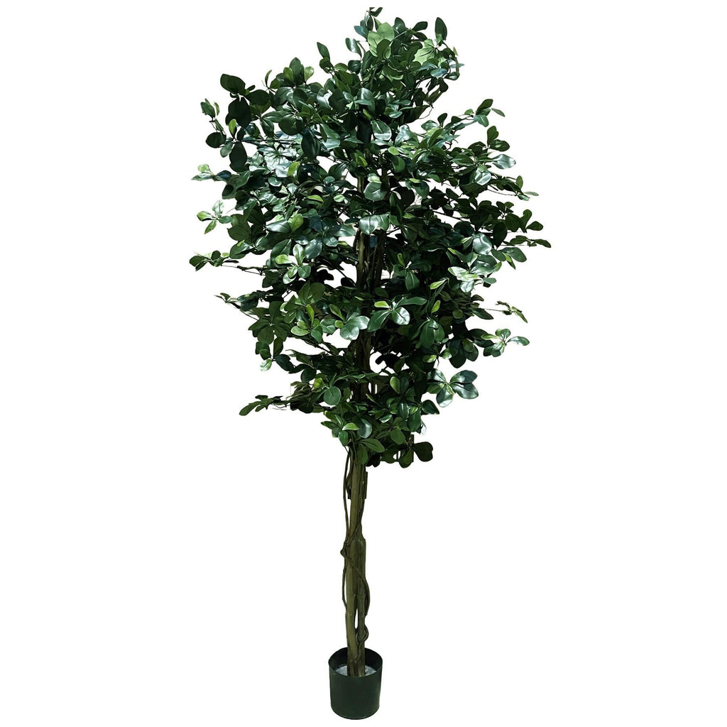 180cm Artificial Fire Retardant Black Olive Tree with 2925 Leaves and Natural Trunk - Premium Quality