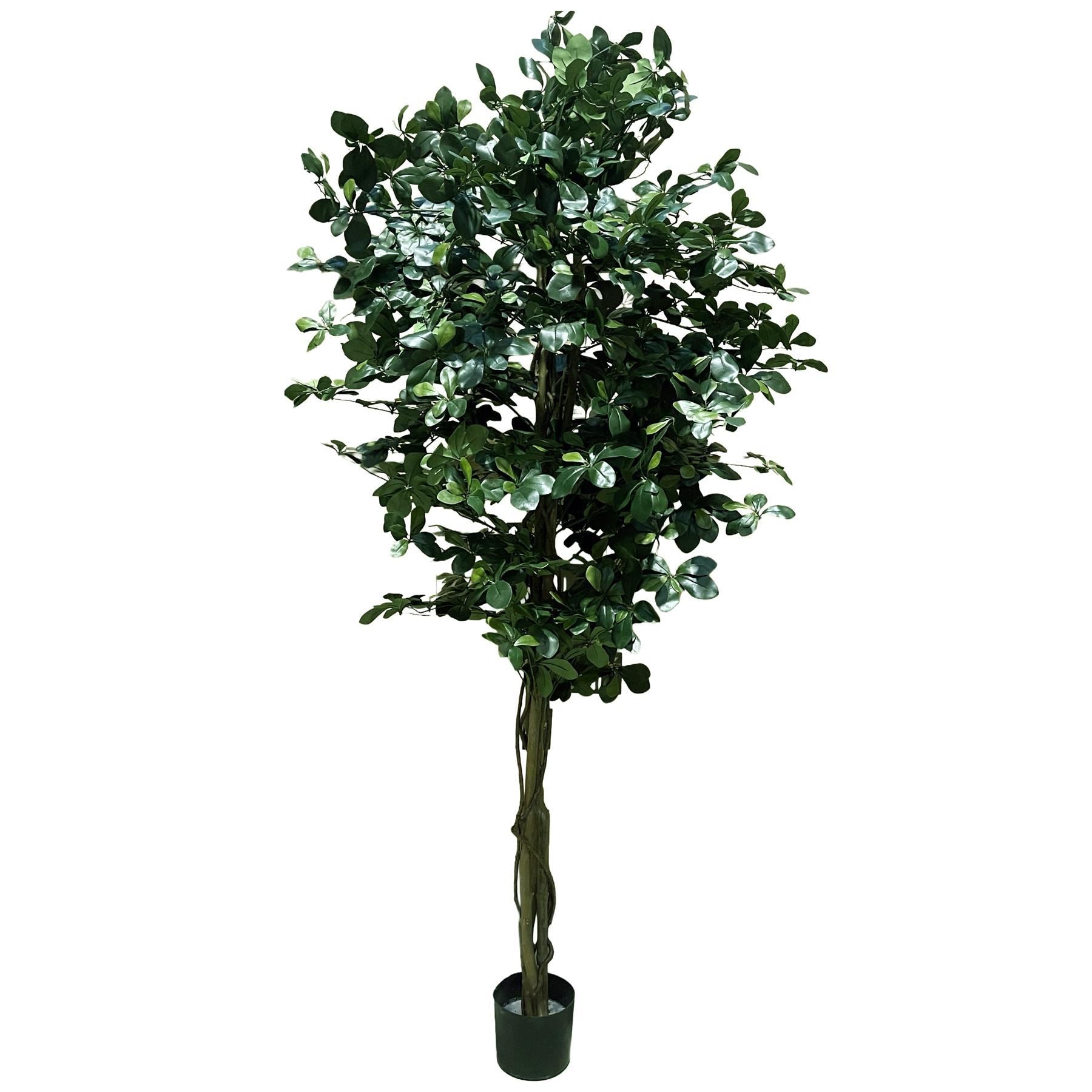 180cm Artificial Fire Retardant Black Olive Tree with 2925 Leaves and Natural Trunk - Premium Quality