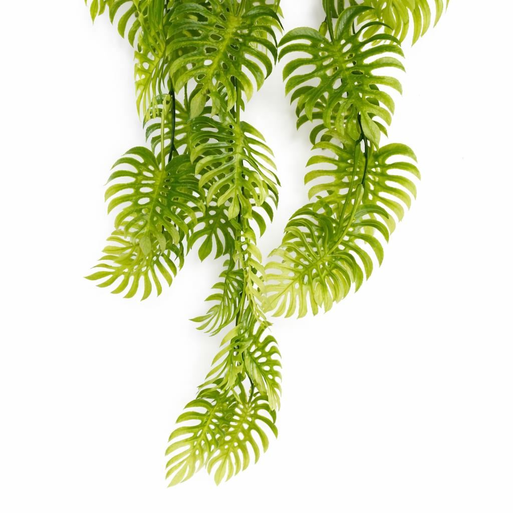 80cm Artificial Trailing Tropical Monstera Plant - Light Green - Premium Quality