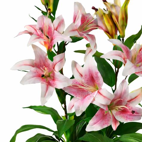 90cm (3ft) Artificial Lily Stargazer Style Lillies Plant Large Flowers Pink