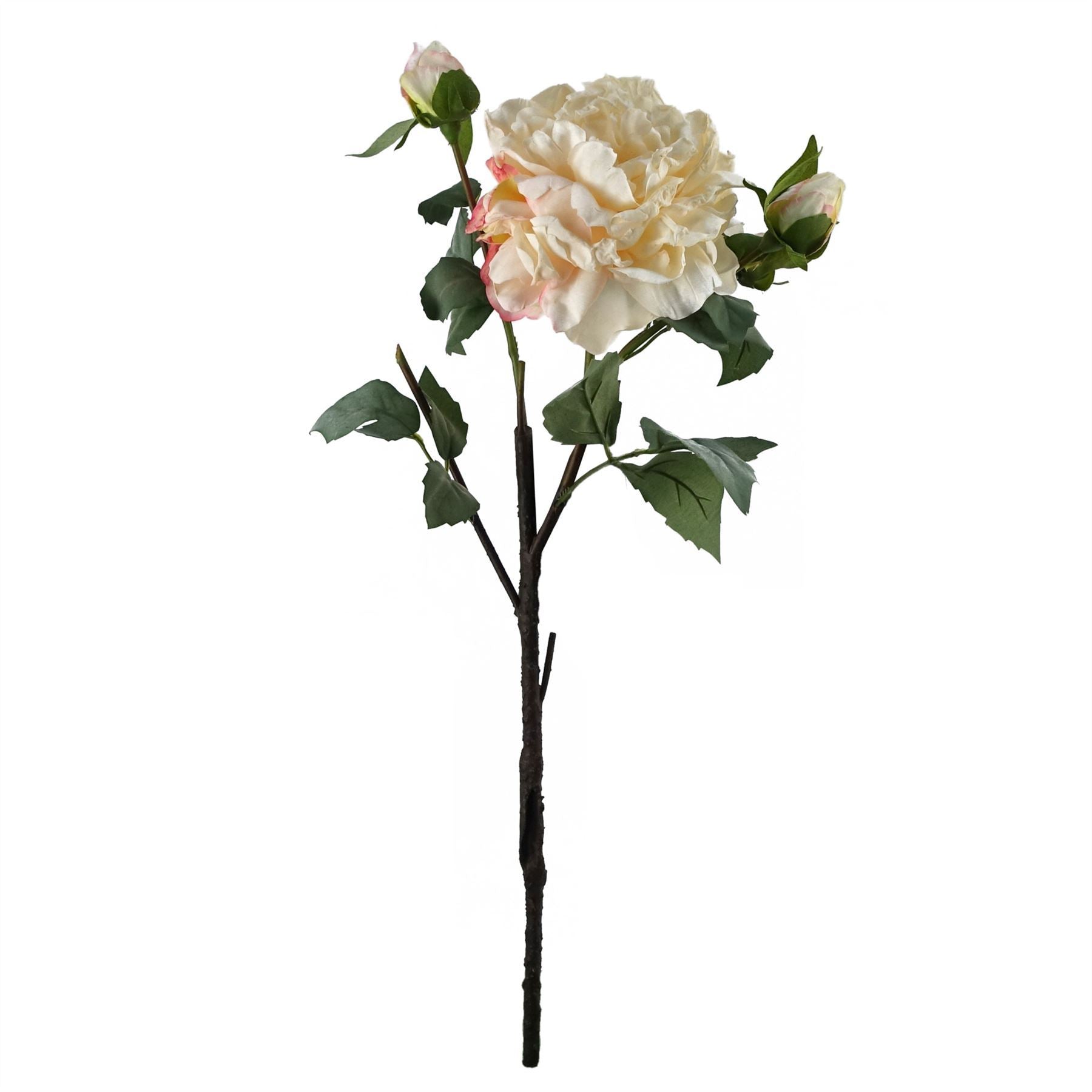 65cm Artificial Mixed Peonies Glass Vase - Premium Quality