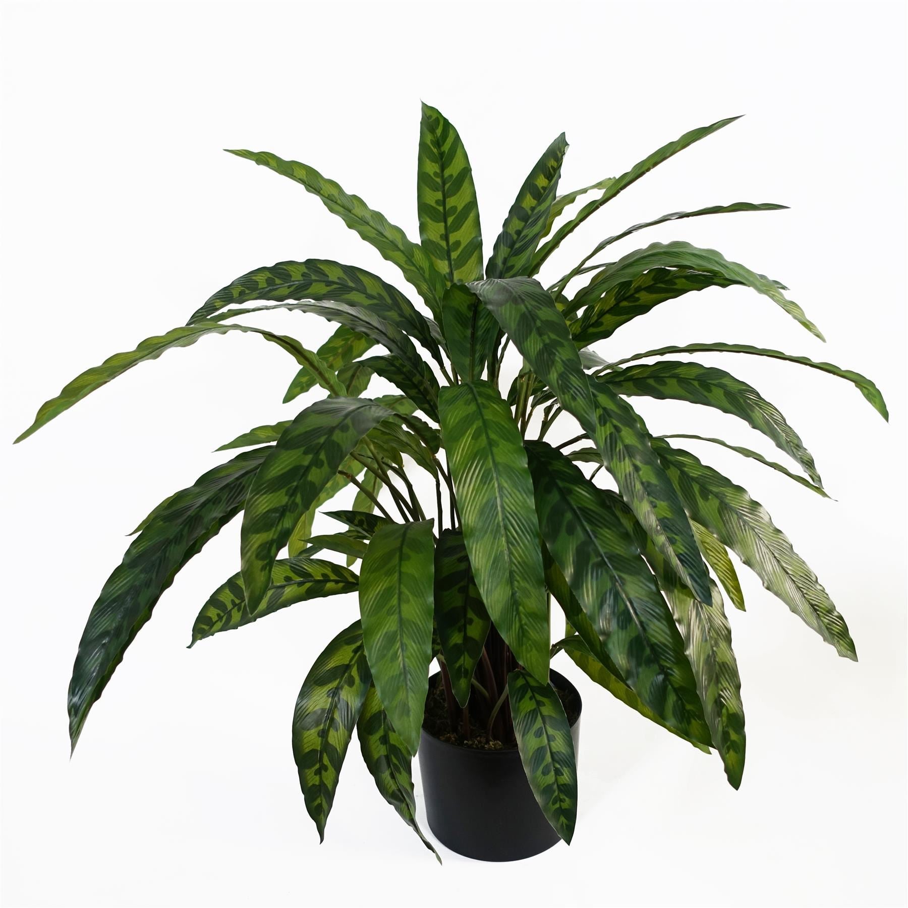 60cm Variegated Artificial Calathea Plant - Premium Quality