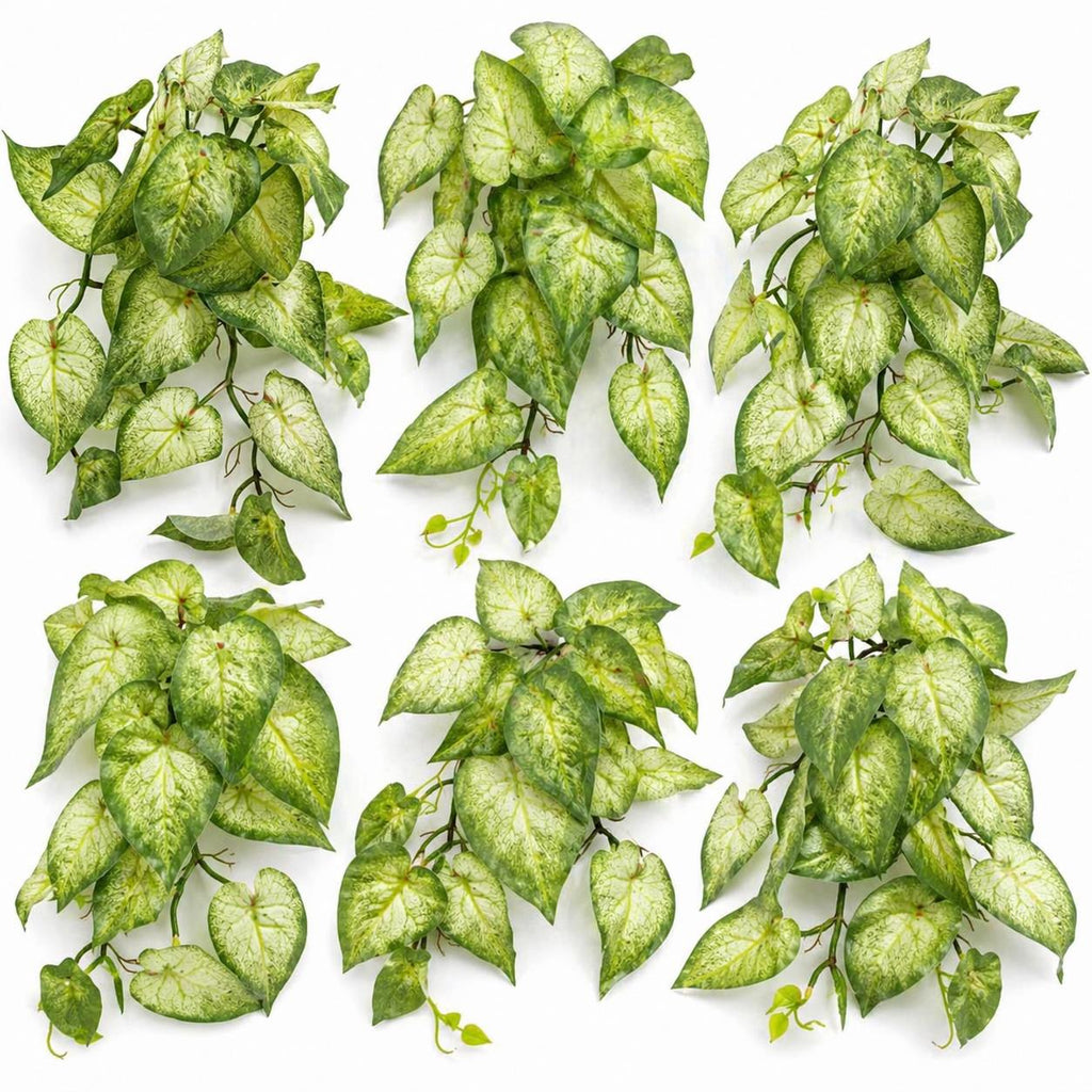 25cm Artificial Trailing Variegated Caladium Vine Plant Light Green - Premium Quality