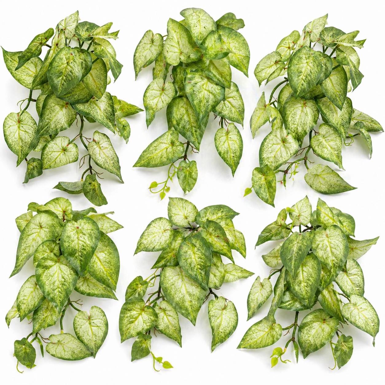 25cm Artificial Trailing Variegated Caladium Vine Plant Light Green - Premium Quality