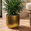 20cm Gold Fluted Metal Planter by Botanik - Premium Quality