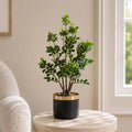 60cm Artificial Aglaia Odorata Bonsai Ficus Tree - Premium Quality