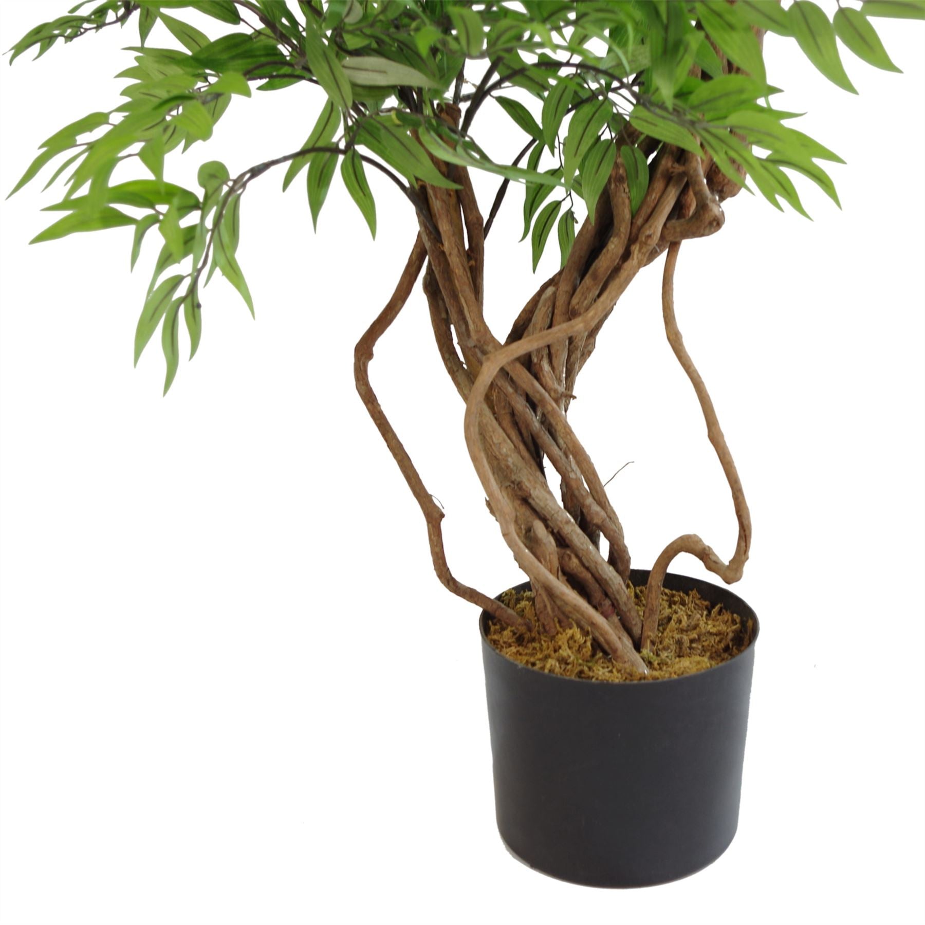 140cm Botanik Realistic Artificial Japanese Fruticosa Ficus Tree