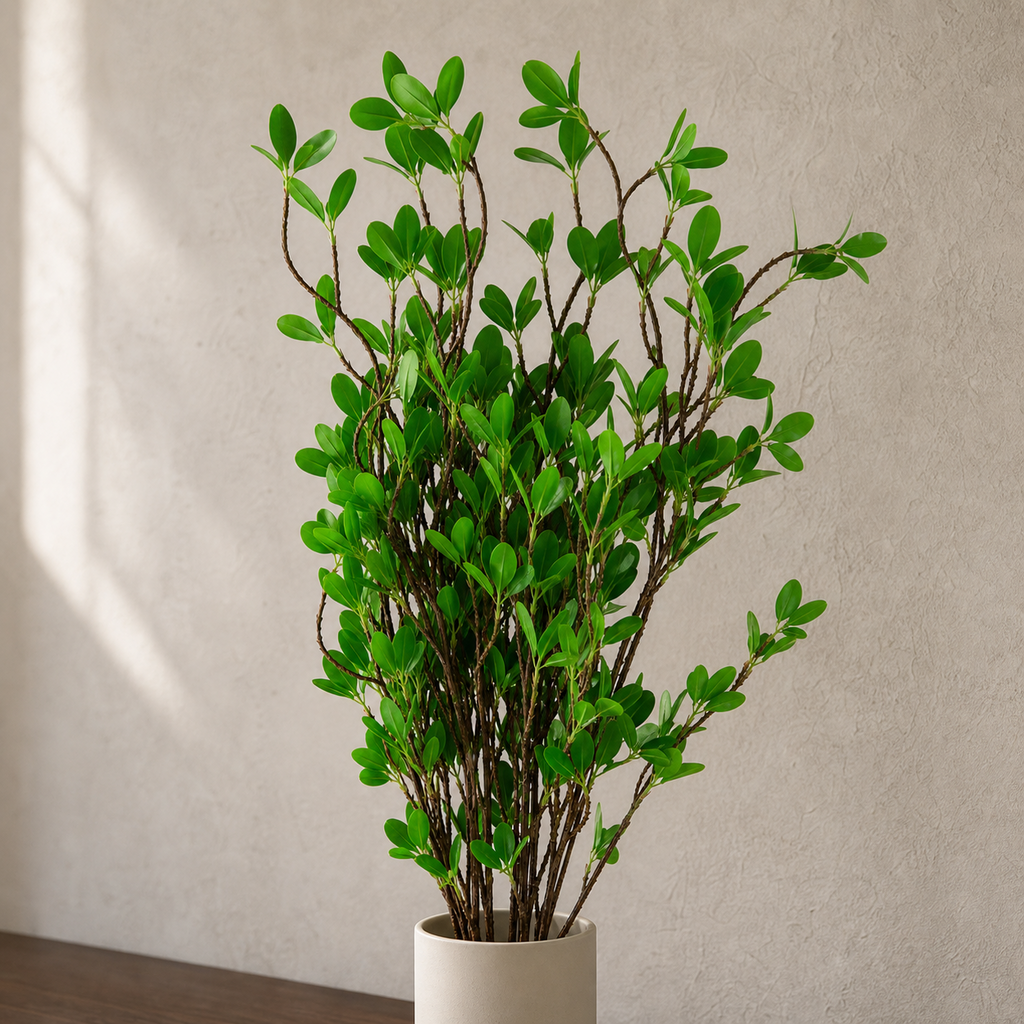 Pack of 6 x 100cm Mini Botanik Ficus Stem - Premium Quality (image 9 of 9)