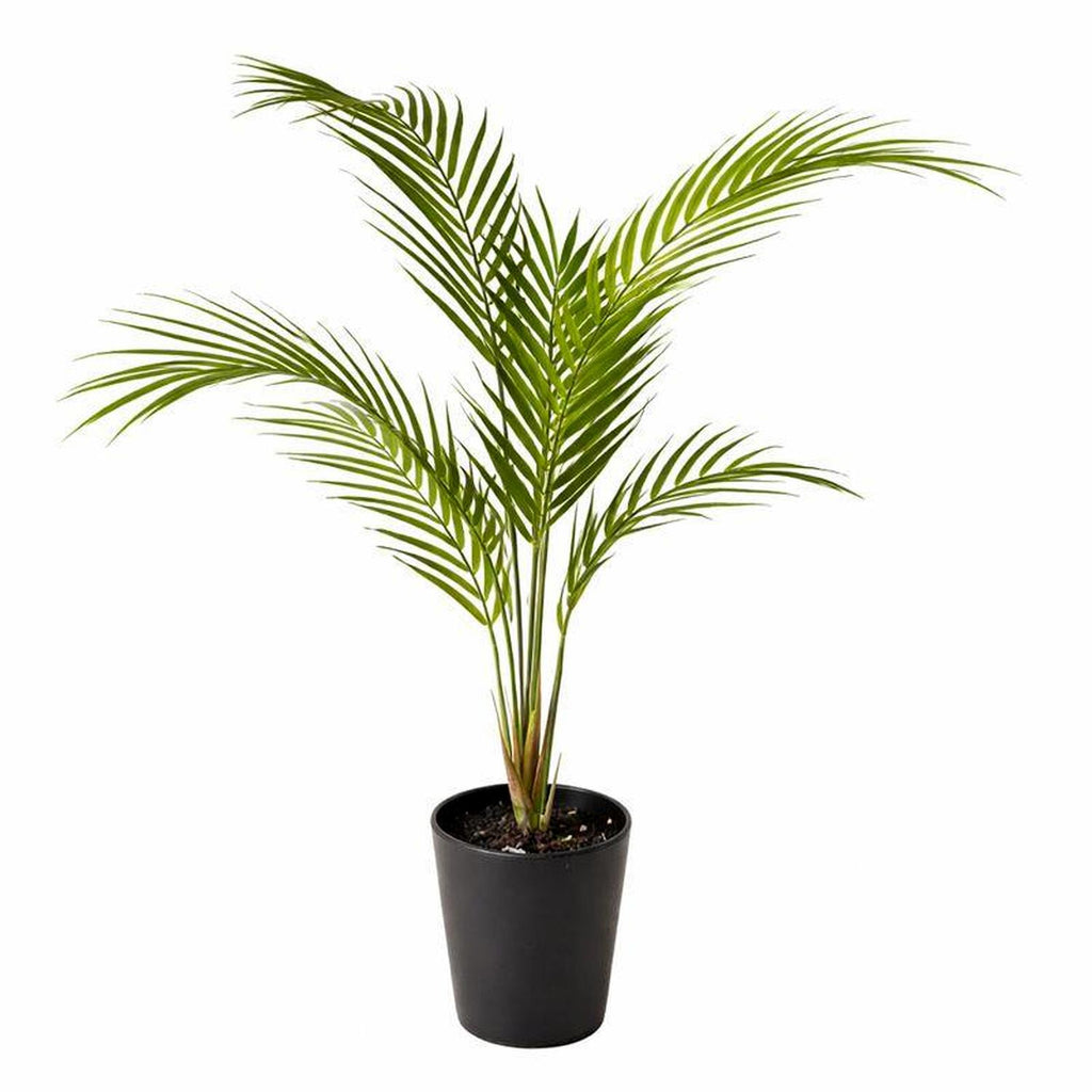 70cm Artificial Areca Palm Tree - Premium Quality (image 2 of 5)