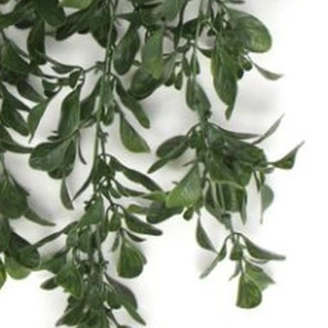 Hanging UV and Fire Resistant Artificial Peperomia Plant 68cm - Premium Quality