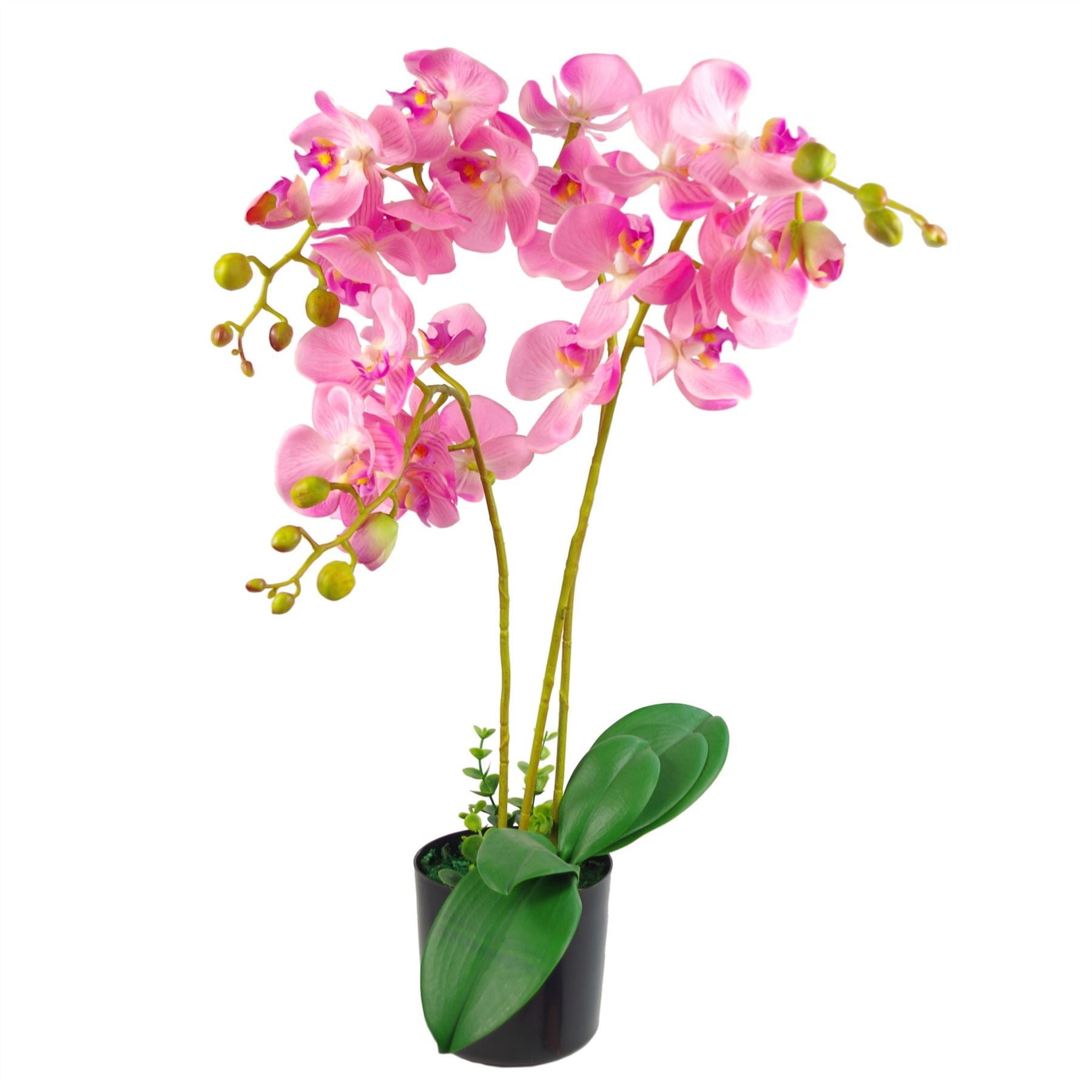 Large Artificial Orchids Display with XL Metal Bowl Planter 70x70cm - Premium Quality