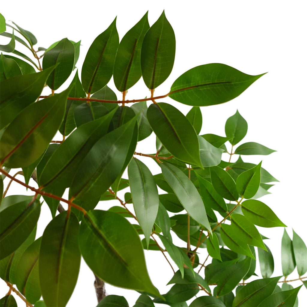 65cm Artificial Toona Sinensis Plant Evergreen - Premium Quality