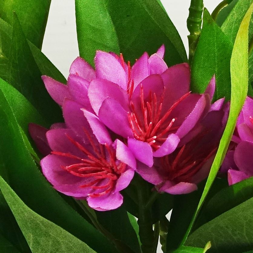 6x 18cm Artificial Freesia Plants in Assorted Colours Flowering - Premium Quality