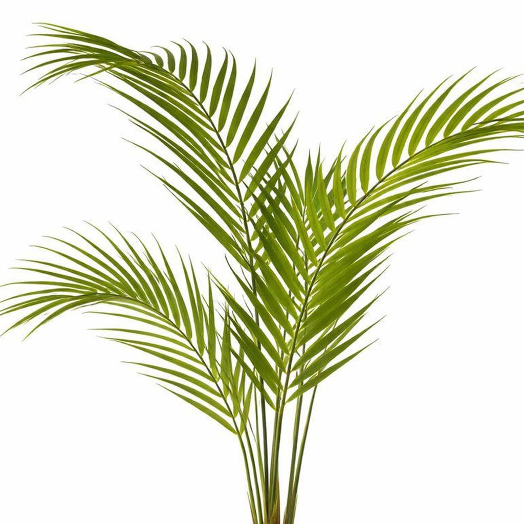 70cm Artificial Areca Palm Tree - Premium Quality (image 4 of 5)