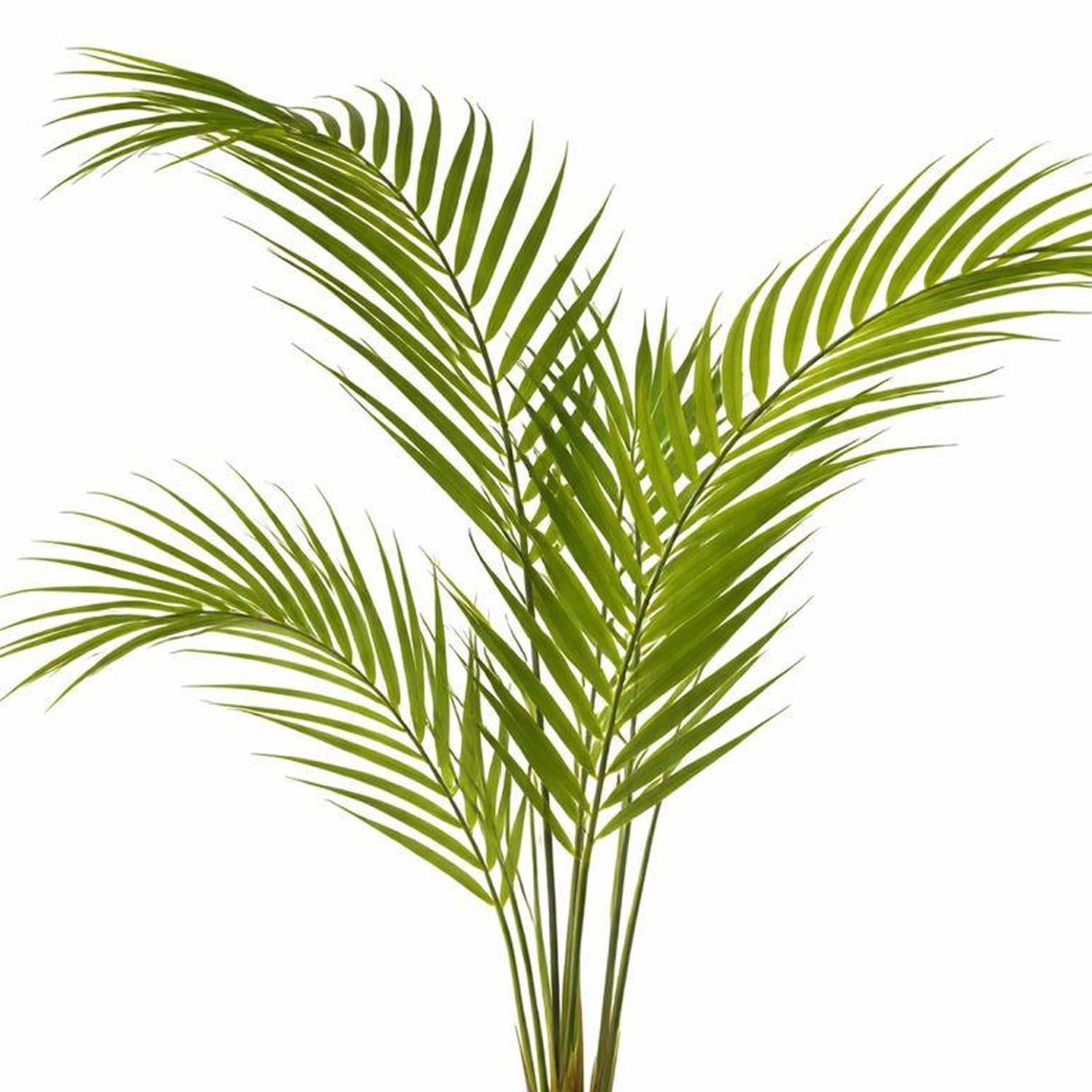 70cm Artificial Areca Palm Tree - Premium Quality
