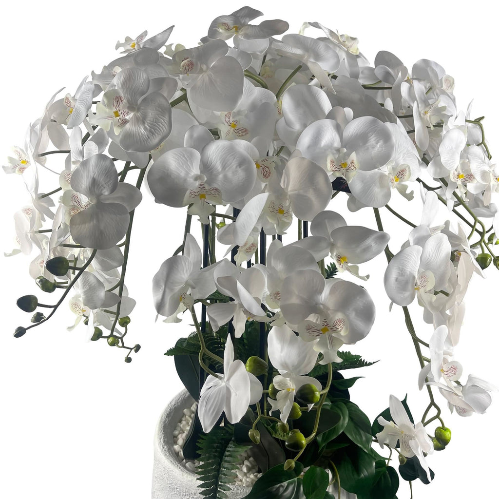 150cm White Orchid Potted Display Artificial - Premium Quality
