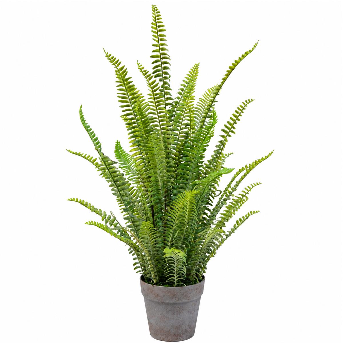 74cm Artificial Fern Plant - Premium Quality